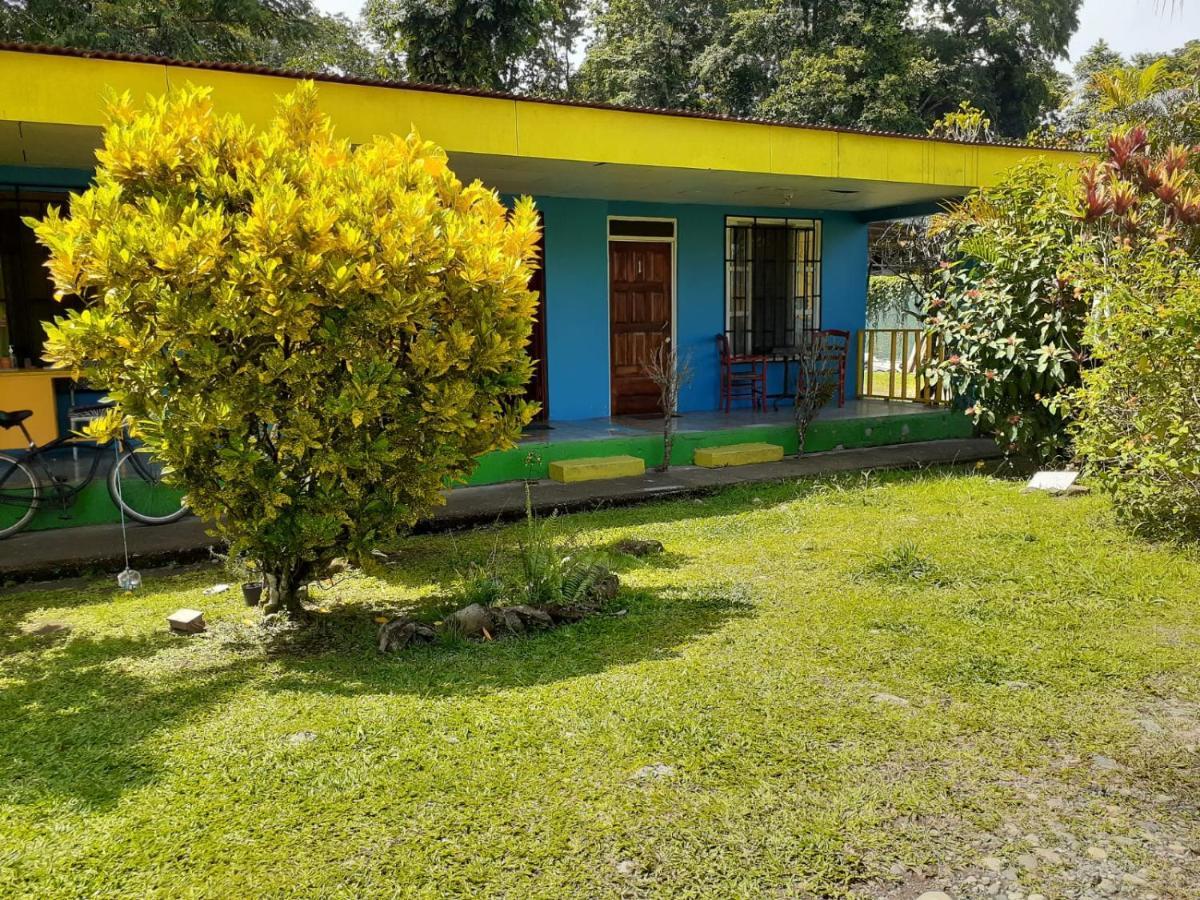 Rooms Palmeras Cahuita Exteriér fotografie