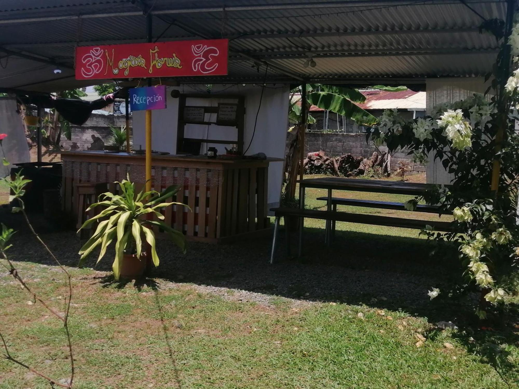 Rooms Palmeras Cahuita Exteriér fotografie
